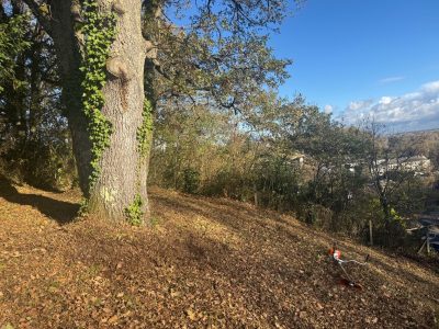 Sur ce chantier, une remise en état complète du terrain en pente a été réalisée.
Le secteur était fortement encombré de ronces, de végétation adventice, ainsi que de rejets ligneux qu’il fallait supprimer pour retrouver une zone propre, saine et praticable.
✔️ Travaux réalisés
• Débroussaillage intégral
Utilisation d’une débroussailleuse professionnelle à lame pour ouvrir le terrain, couper les ronces épaisses et maîtriser la végétation envahissante sur toute la surface.
• Petit abattage de rejets
Suppression de plusieurs rejets d’arbres, de taillis, et de drageons gênants afin d’aérer la parcelle et redonner de la visibilité.
• Nettoyage autour du grand arbre
Travail précis au pied de l’arbre existant (gros tronc visible sur la photo), permettant d’éliminer les repousses et les végétations concurrentes.
• Évacuation totale des déchets
Tous les végétaux coupés – ronces, branches, rejets, feuilles – ont été ramassés et évacués, laissant le terrain propre, dégagé et entièrement sécurisé.
✔️ Résultat obtenu
Le terrain retrouve :
• une surface saine et respirante,
• un accès facilité,
• une meilleure luminosité,
• et une remise à niveau idéale pour les futurs travaux ou l’entretien courant.
Un travail soigné, réalisé avec méthode, sur une zone en pente nécessitant rigueur et expérience Débroussaillage complet d’un terrain en pente avec nettoyage précis au pied du grand arbre à Tours