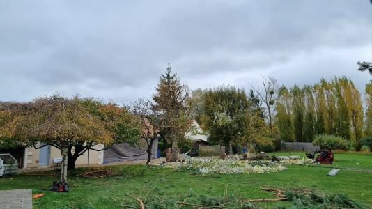 Sur ce chantier d’envergure, l’objectif était de sécuriser et réorganiser un ensemble arboré devenu trop dense et présentant plusieurs arbres fragilisés.
L’intervention a compris :
• Élagage sélectif des sujets trop chargés
• Suppression de bois morts pour sécuriser les abords de l’habitation
• Reprise de formes sur les arbres fruitiers et d’ornement
• Gestion complète des rémanents sur place, avec broyage et évacuation
• Travail propre et organisé, permettant au terrain de retrouver un aspect dégagé et harmonieux.
Cette opération a permis de clarifier l’espace, d’améliorer la lumière au sol et de redonner une réelle valeur esthétique au jardin. Grand chantier d’élagage avec sécurisation des arbres et nettoyage complet du terrain à Tours