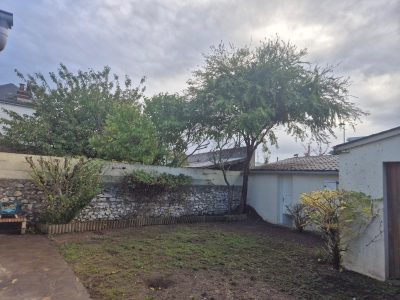 Sur cette intervention, un gros nettoyage du jardin a été effectué :
• Taille complète des arbustes : tous les arbustes ont été repris proprement, certains rabattus pour repartir sur une base saine.
• Éclaircissement du grand arbre : le grand arbre du fond a été rééquilibré et délesté de ses branches basses et branches mortes.
• Suppression de la végétation envahissante le long du mur (ronces, lianes, repousses).
• Nettoyage général du terrain : ramassage de tous les végétaux au sol, nettoyage des zones piétinées et dégagées.
• Mise au propre de la zone de terre laissant un espace prêt pour un futur aménagement (gazon, plantations, etc.).
• Évacuation complète des déchets verts, tout a été retiré et emporté Nettoyage complet d’un jardin à Fondettes avec taille des arbustes, éclaircissement d’un arbre et évacuation des déchets verts.