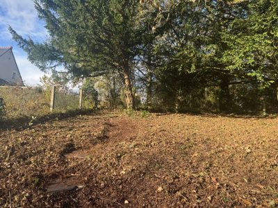 Sur ce chantier, une remise en état complète du terrain en pente a été réalisée.
Le secteur était fortement encombré de ronces, de végétation adventice, ainsi que de rejets ligneux qu’il fallait supprimer pour retrouver une zone propre, saine et praticable.
✔️ Travaux réalisés
• Débroussaillage intégral
Utilisation d’une débroussailleuse professionnelle à lame pour ouvrir le terrain, couper les ronces épaisses et maîtriser la végétation envahissante sur toute la surface.
• Petit abattage de rejets
Suppression de plusieurs rejets d’arbres, de taillis, et de drageons gênants afin d’aérer la parcelle et redonner de la visibilité.
• Nettoyage autour du grand arbre
Travail précis au pied de l’arbre existant (gros tronc visible sur la photo), permettant d’éliminer les repousses et les végétations concurrentes.
• Évacuation totale des déchets
Tous les végétaux coupés – ronces, branches, rejets, feuilles – ont été ramassés et évacués, laissant le terrain propre, dégagé et entièrement sécurisé.
✔️ Résultat obtenu
Le terrain retrouve :
• une surface saine et respirante,
• un accès facilité,
• une meilleure luminosité,
• et une remise à niveau idéale pour les futurs travaux ou l’entretien courant.
Un travail soigné, réalisé avec méthode, sur une zone en pente nécessitant rigueur et expérience Remise en état d’un terrain en pente avec suppression des rejets ligneux et évacuation des déchets verts à Tours
