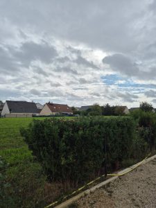 Sur cette photo, on voit une haie de conifères qui a été taillée proprement :
✔️ Travaux réalisés :
• Taille complète de la haie :
• Taille dessus
• Taille des côtés
• Reprise de la forme pour obtenir une haie bien droite et homogène.
• Évacuation de l’ensemble des déchets verts, branchages et résidus de coupe.
• La haie est maintenant propre, régulière et dégagée, ce qui redonne de la lumière au terrain Taille complète d’une haie de conifères à Saint-Cyr-sur-Loire, dessus et côtés repris pour une haie droite et homogène.